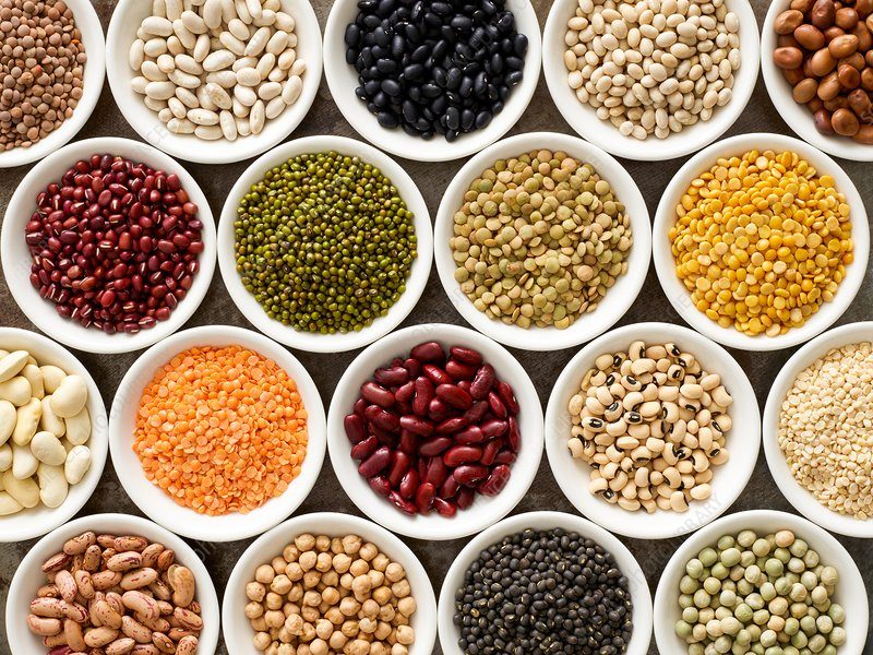Pulses in white bowls, overhead view.